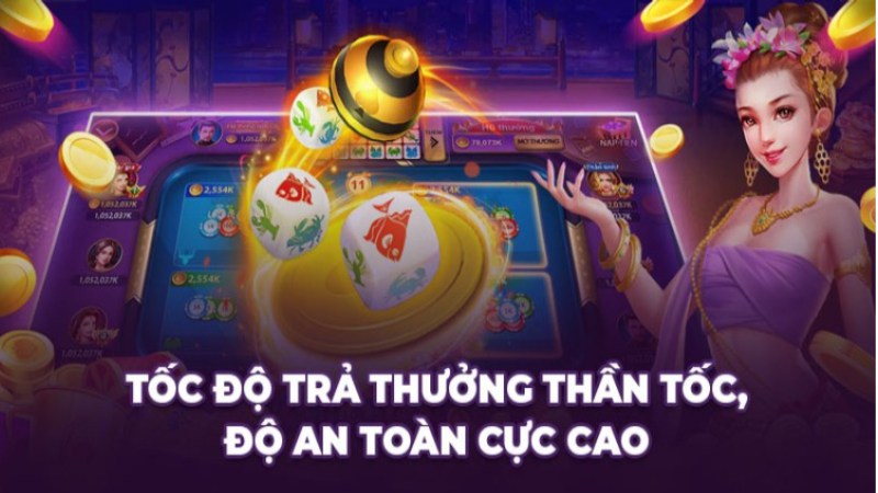 Bắt cầu bệt xóc đĩa chuẩn