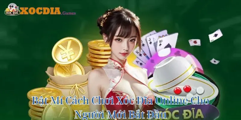 Bật Mí Cách Chơi Xóc Đĩa Online Cho Người Mới Bắt Đầu