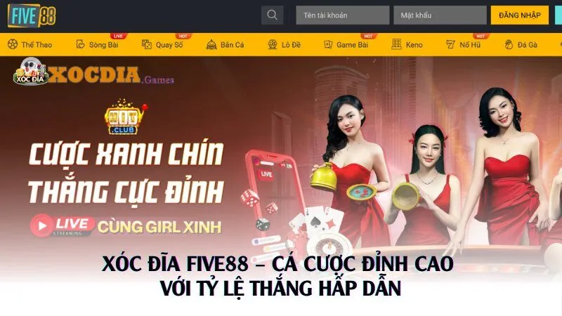 Xóc Đĩa Five88 – Cá Cược Đỉnh Cao Với Tỷ Lệ Thắng Hấp Dẫn